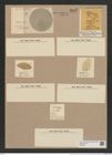 Coscinodiscus excentricus Ehr. (de-Toni-Nr.: Genus 202, Species 4880) Zeichnungen Sammlung Grunow Nr. 8635 (NHMW-BOT-W0378031)